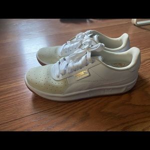 Puma California exotic